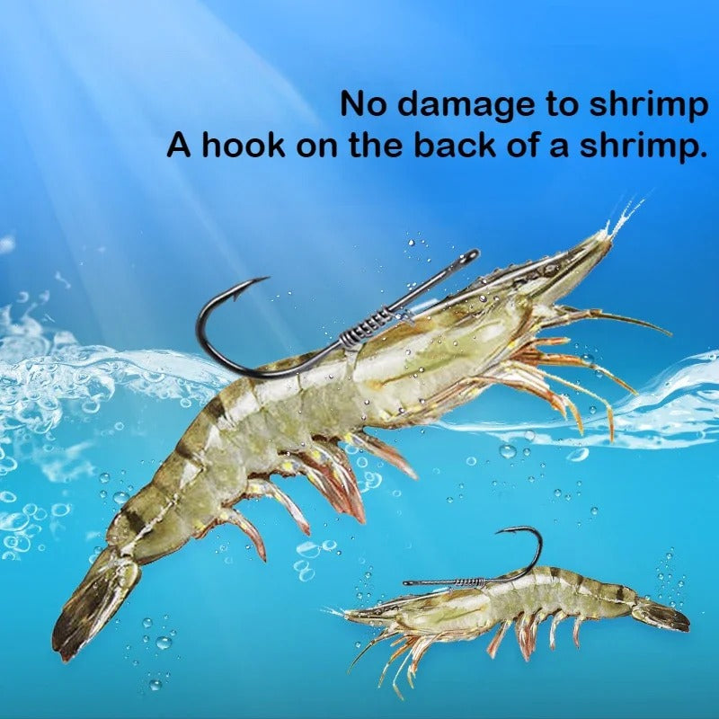 1 Live Fish Hook on Shrimp Back